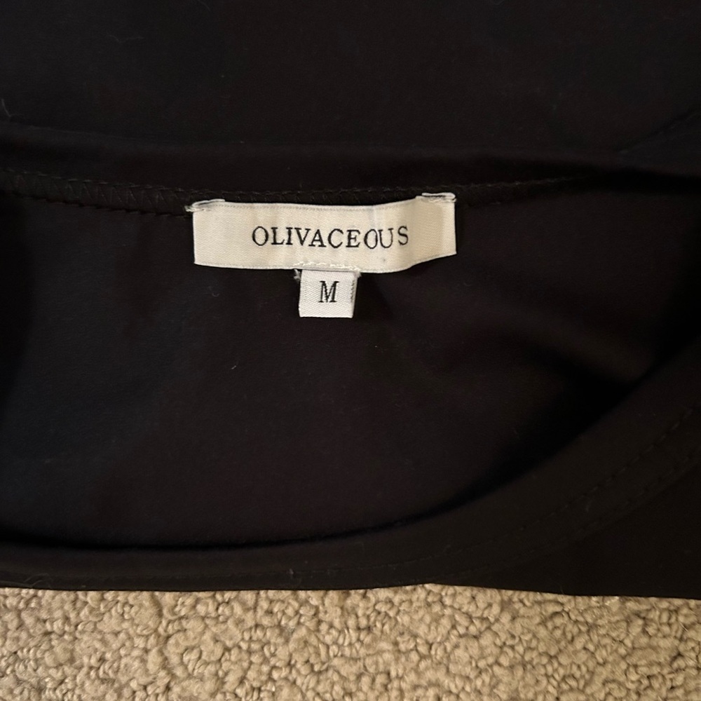 Olivaceous Black Fitted Bustier Crop Top - Picture 3 of 4